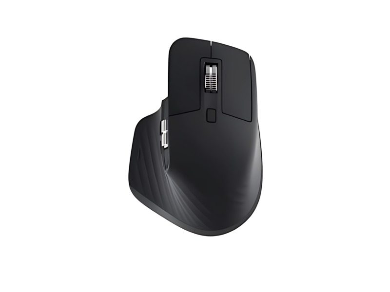 Souris
