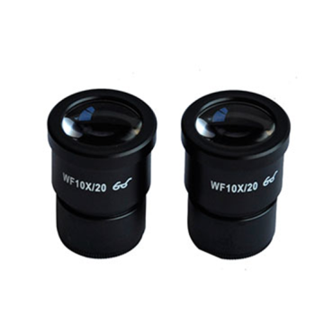 SUNSHINE  Microscope Eyepiece/10X
